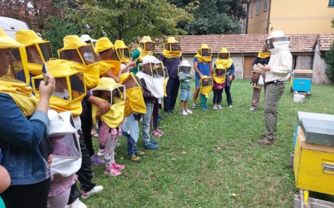 Al via il Concorso letterario “Emily Dickinson” per la Festa delle Api 2026