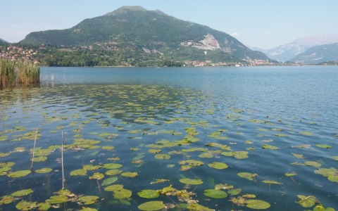 Allerta inquinamento per il fiume Lambro e il lago di Pusiano