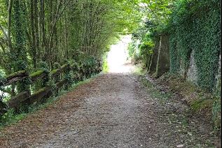 Anzano si trasforma in un paese della musica con sei targhe lungo il sentiero del Mulino