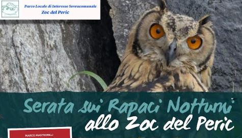 Incontro sui rapaci notturni allo Zoc del Peric