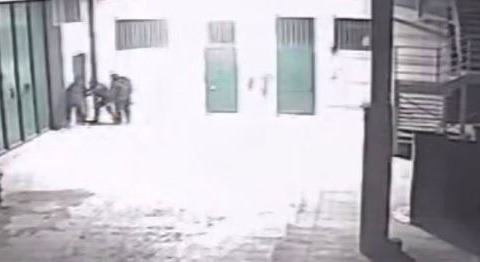 Colpo in floricoltura: sei ladri tentano un raid