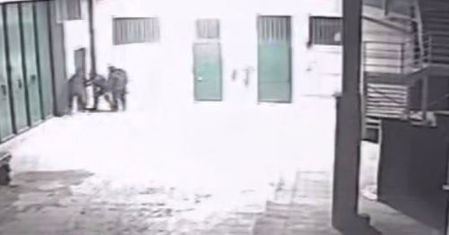 Colpo in floricoltura: sei ladri tentano un raid