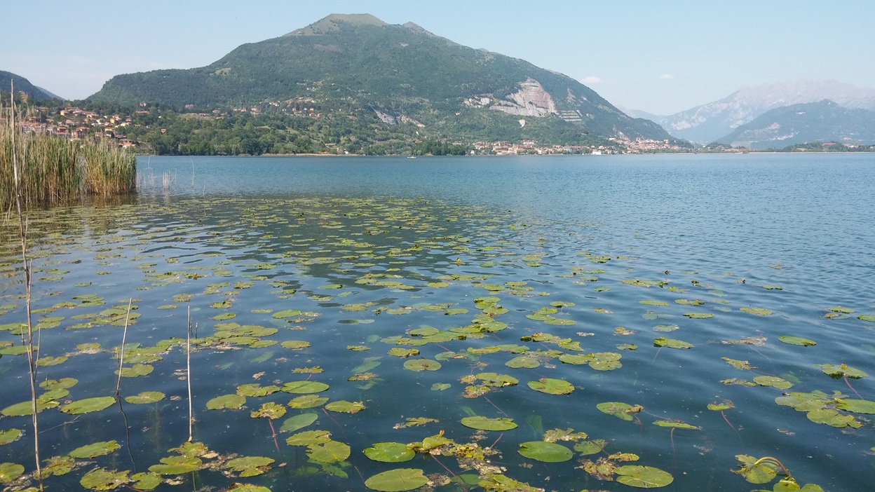 Convegno sulla salute del Lago di Pusiano