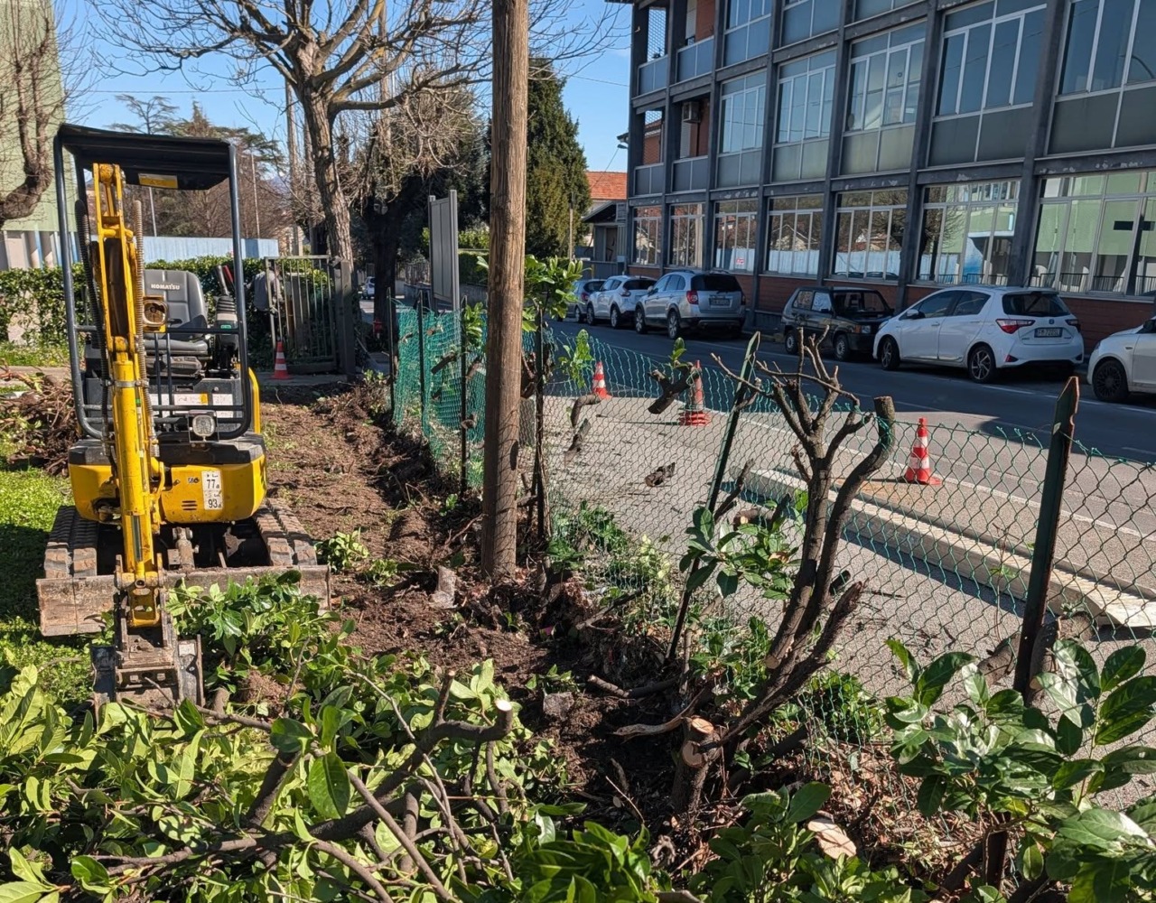 Interventi in biblioteca: rimozione della siepe e nuovi progetti