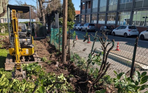 Interventi in biblioteca: rimozione della siepe e nuovi progetti