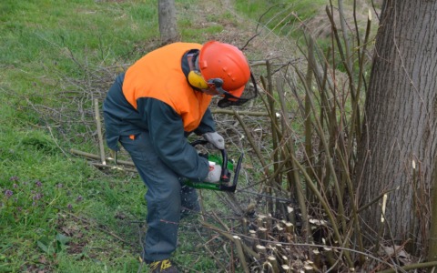 Modifiche alla viabilità lungo la SP28 per potatura