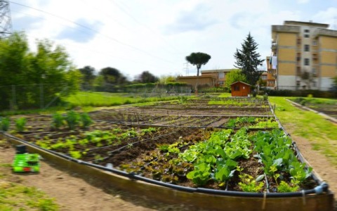 Regolamento per orti urbani approvato ad Asso
