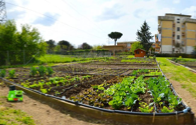 Regolamento per orti urbani approvato ad Asso