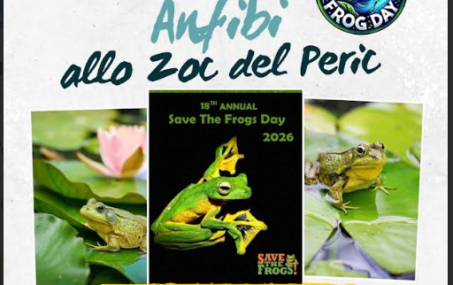 Serata dedicata alla scoperta degli anfibi allo Zoc del Peric