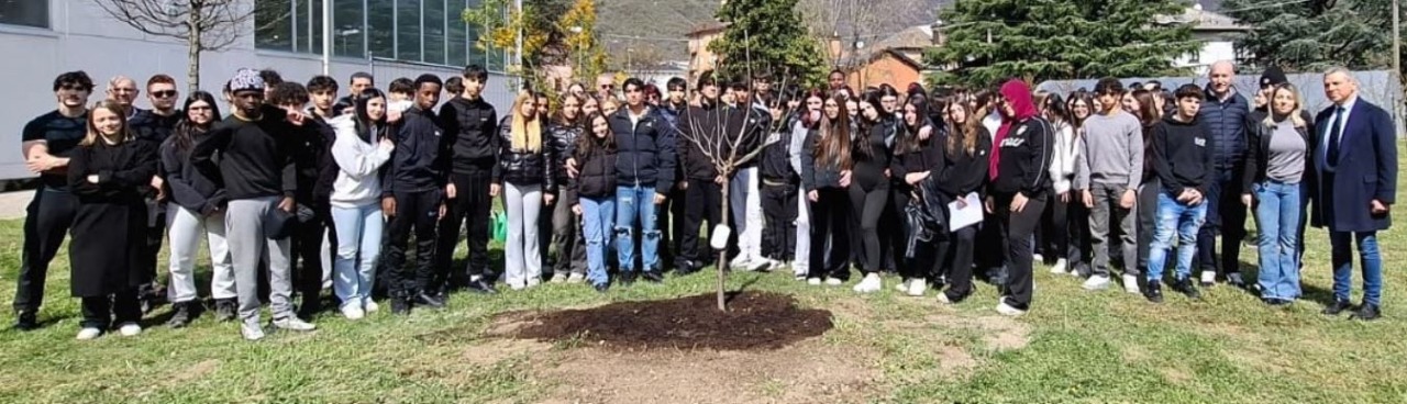 Un ciliegio in memoria di Eva Ghiglietti