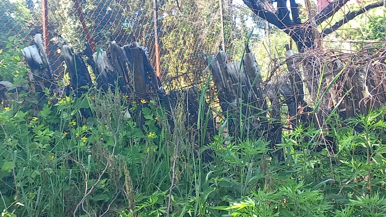 Polizia locale di Alzate: denunciato un piromane grazie a fototrappole e telecamere