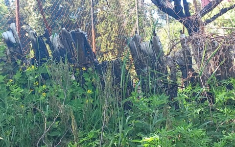 Polizia locale di Alzate: denunciato un piromane grazie a fototrappole e telecamere