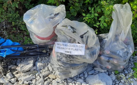Tornano i campi di volontariato ambientale sul Lago di Como