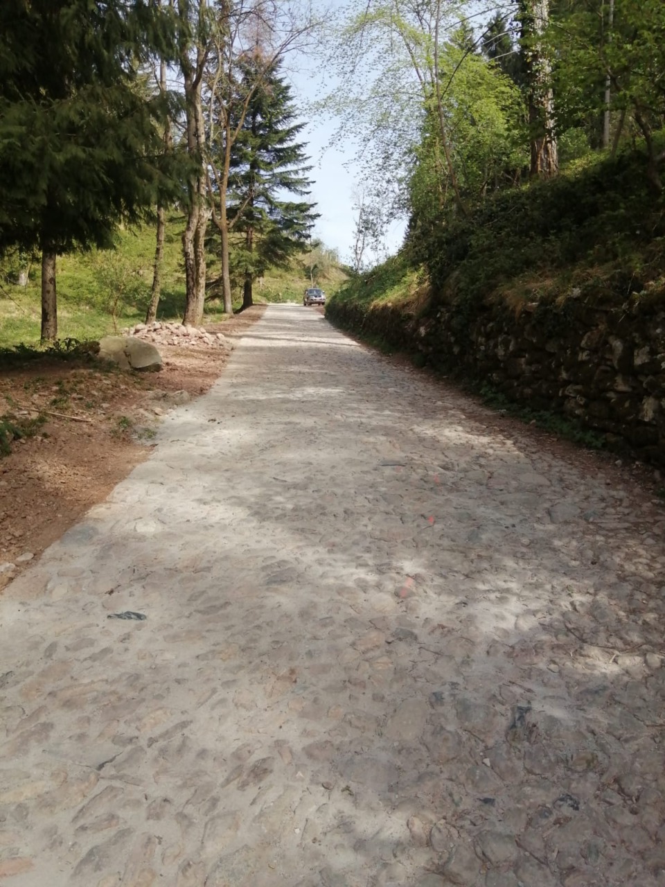 Via Per le Alpi: Regione eroga 200mila euro per la pavimentazione