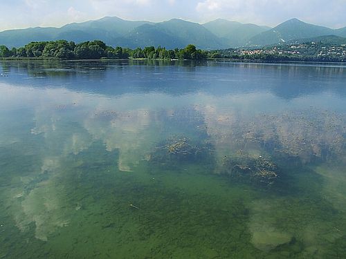 Regione Lombardia destina oltre 530mila euro al Parco della Valle del Lambro per i laghi di Pusiano e Montorfano